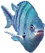 Creation of Forget That Fishy Screensaver!: Step 2